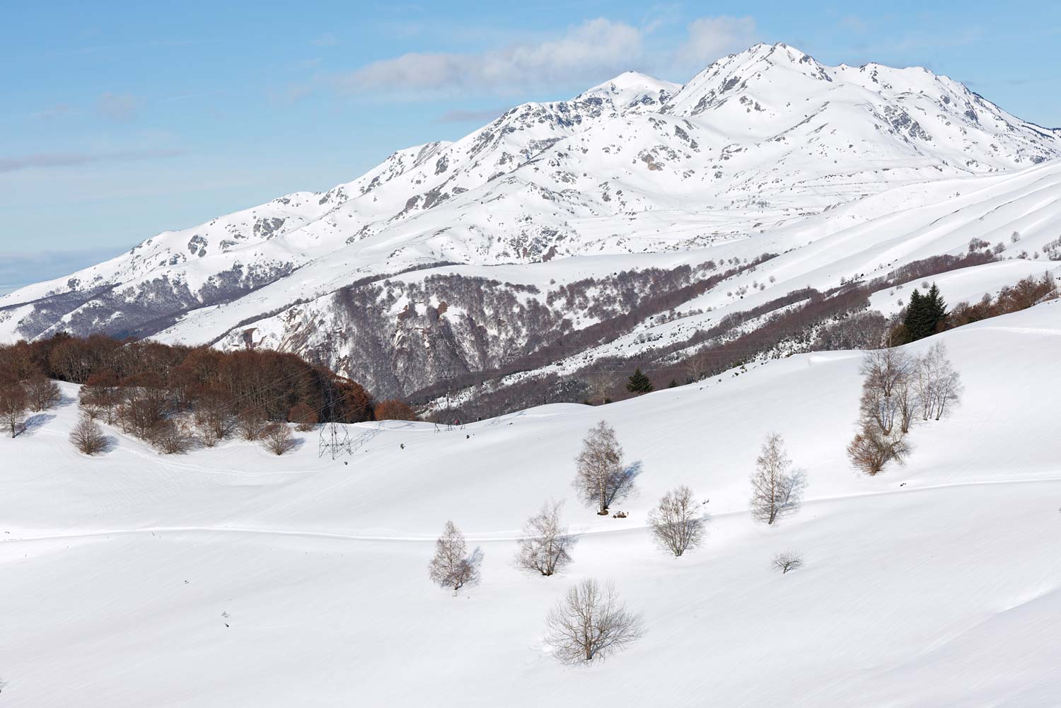 Tirage d'art massif de Tabe